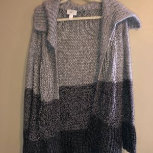 Anne Taylor Loft Sweater